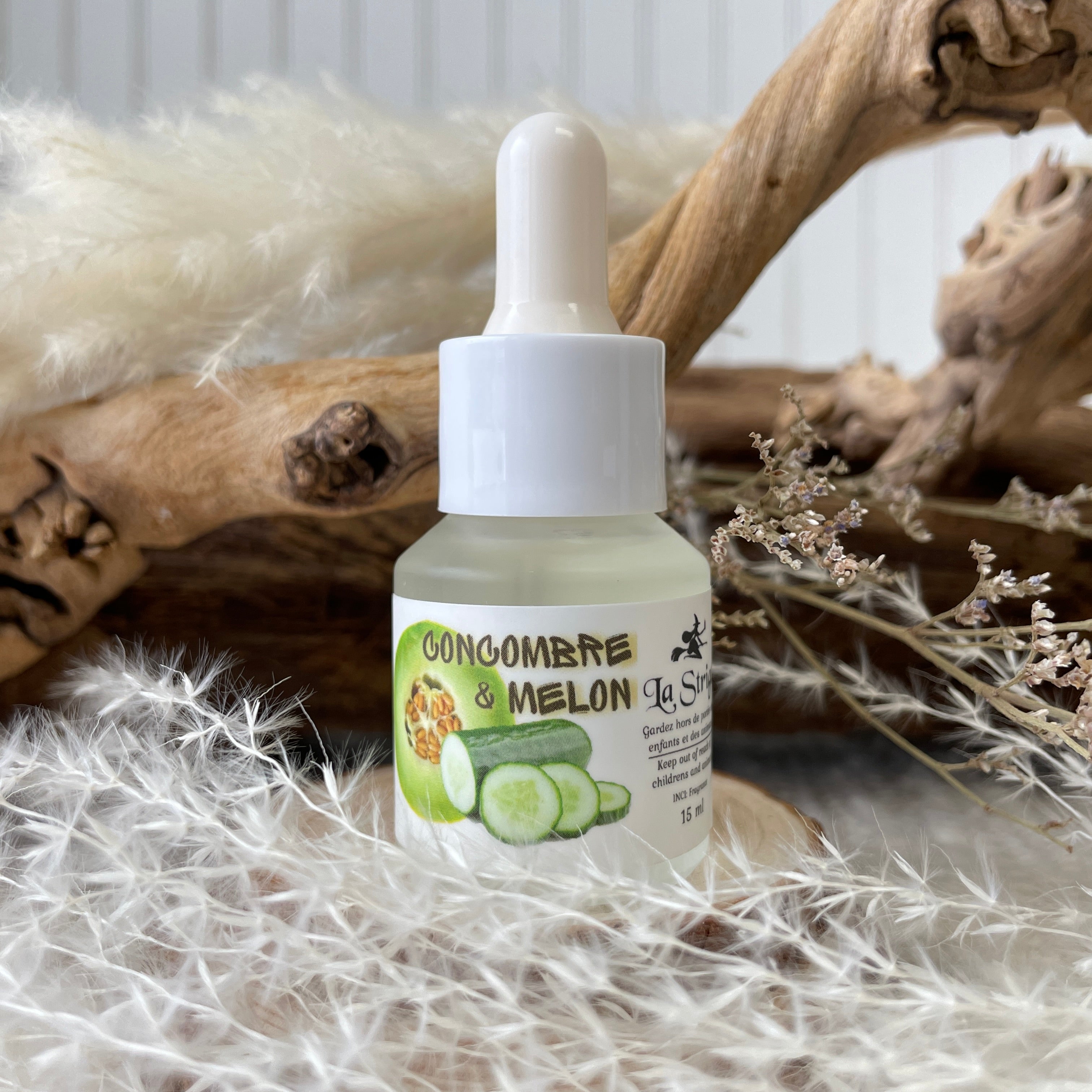 Striga concombre melon