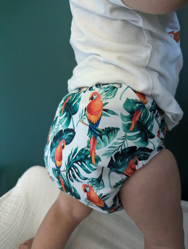 Pocket Cloth Diaper | One size | Coco want's a cookie (full print)