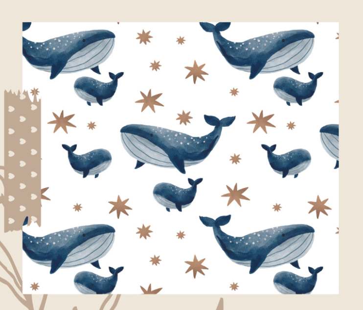 Waterproof LiliPOD bag | Whale