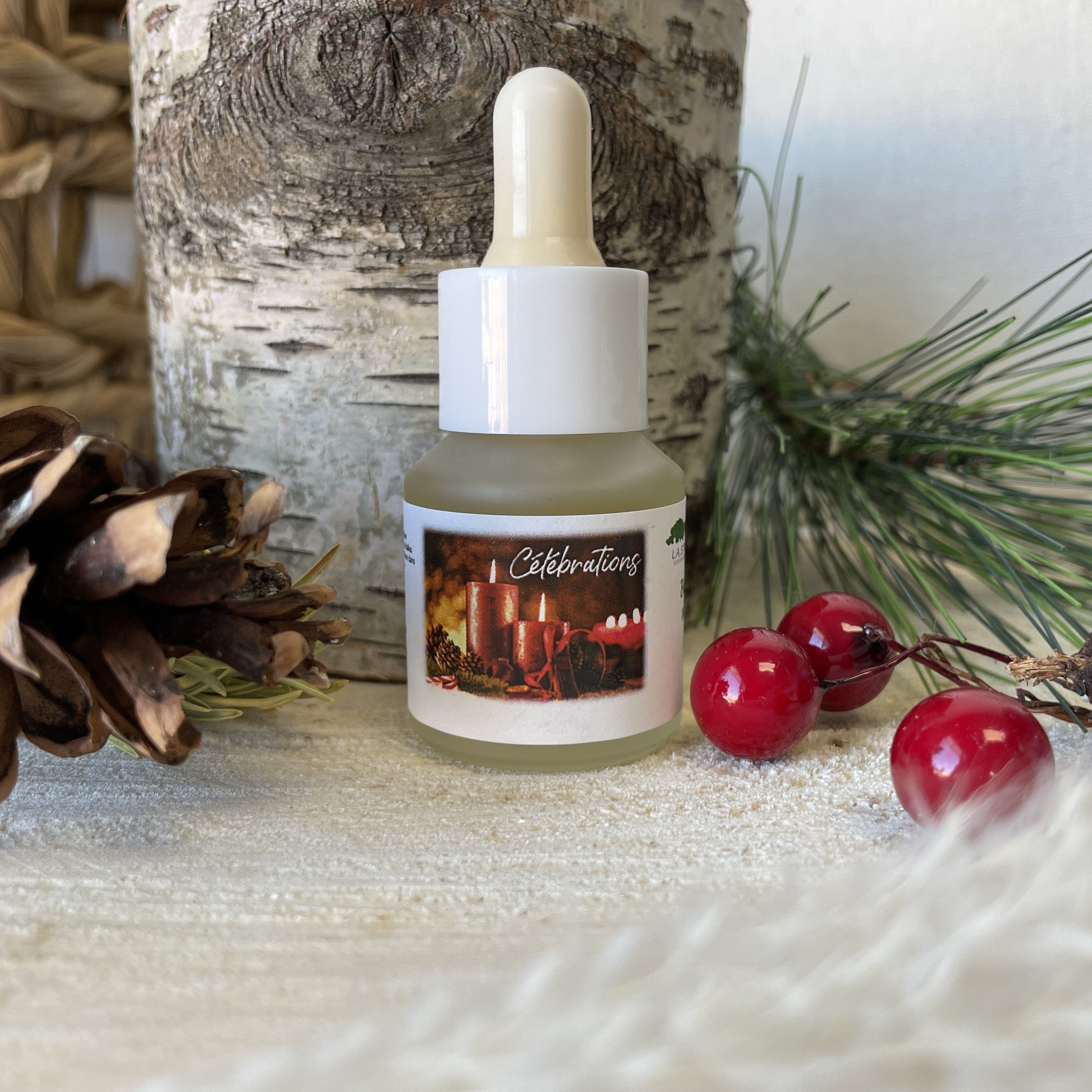 Striga Celebration 2