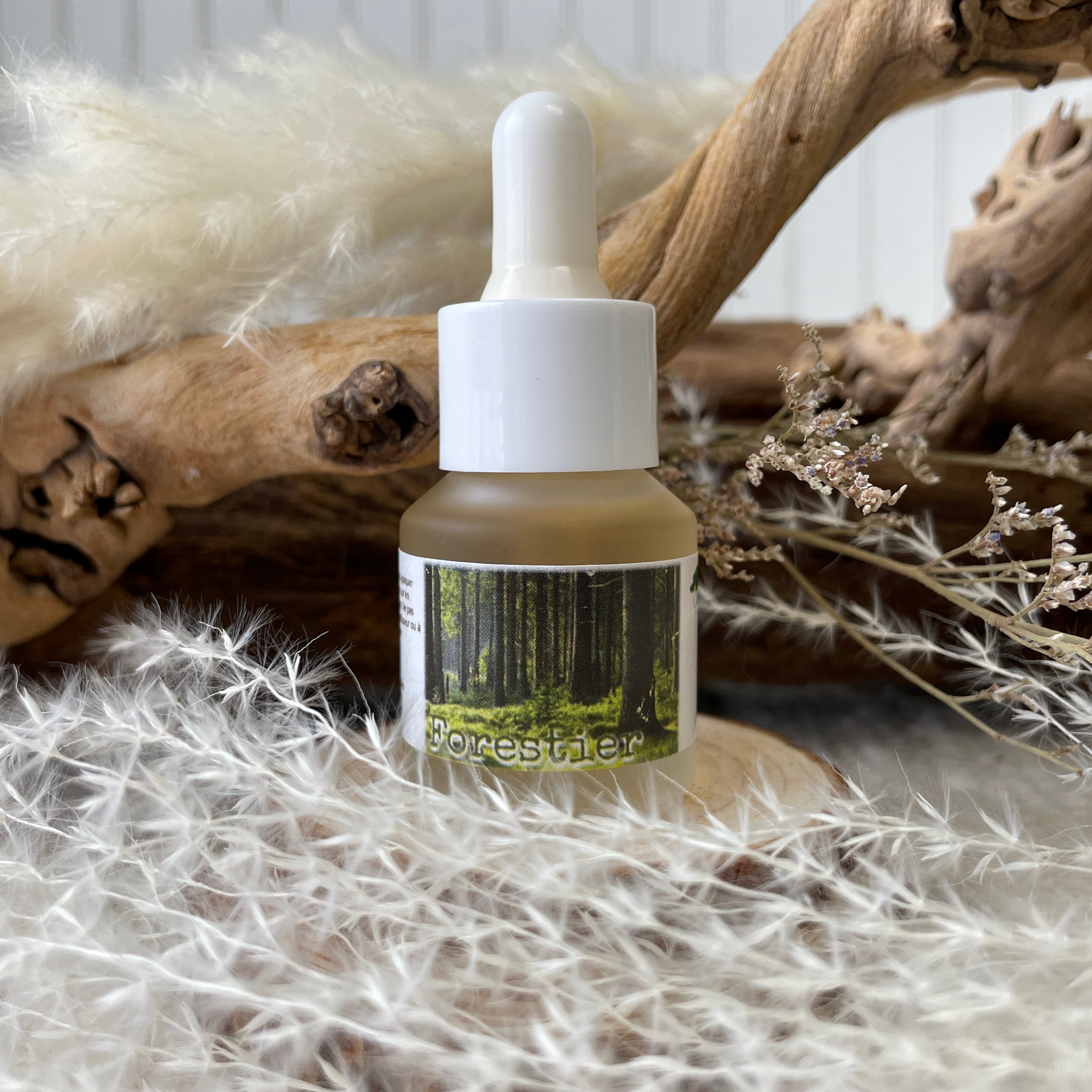 Striga Forestier