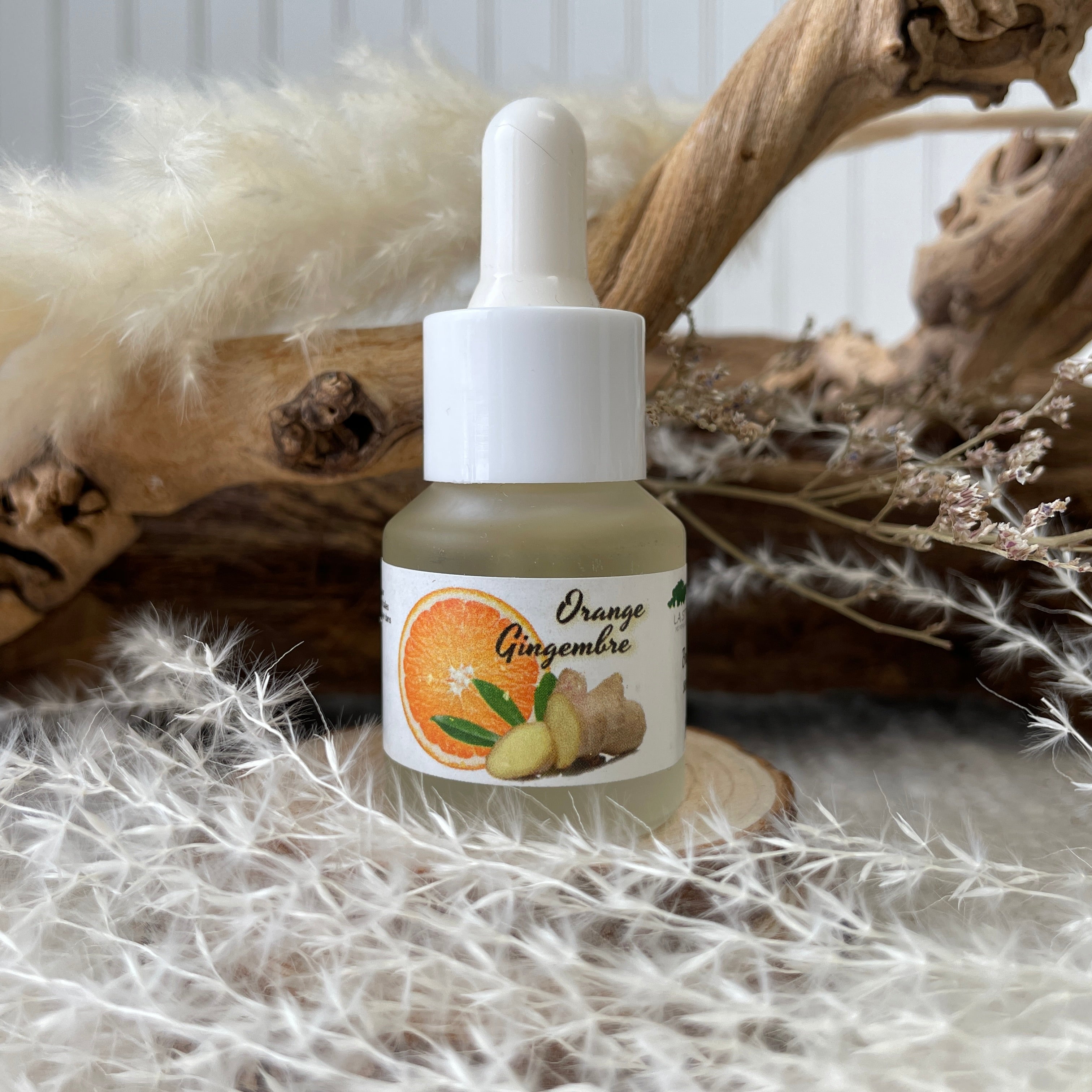 Striga Orange Gingembre