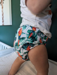 Pocket Cloth Diaper | One size | Coco want's a cookie (full print)